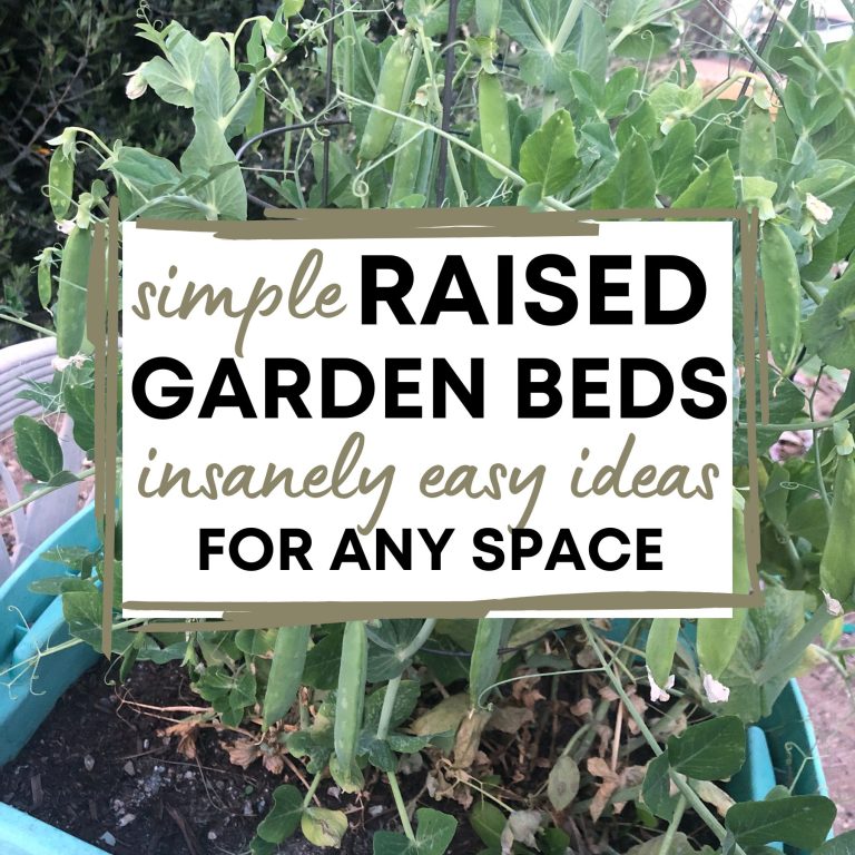 green beans growing on plant in a tote raised garden container with text "simple raised garden beds: insanely easy ideas for any space"