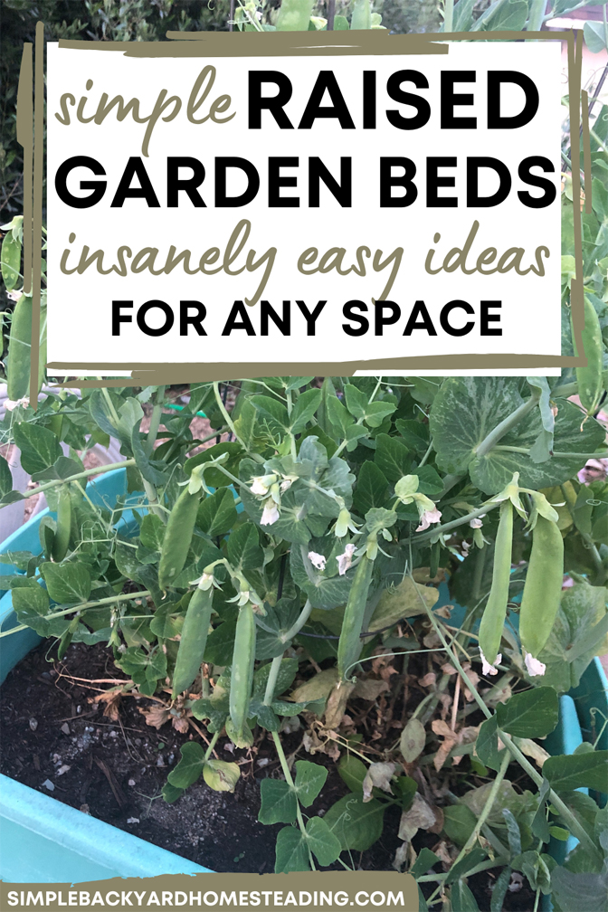 green beans growing on plant in a tote raised garden container with text "simple raised garden beds: insanely easy ideas for any space"