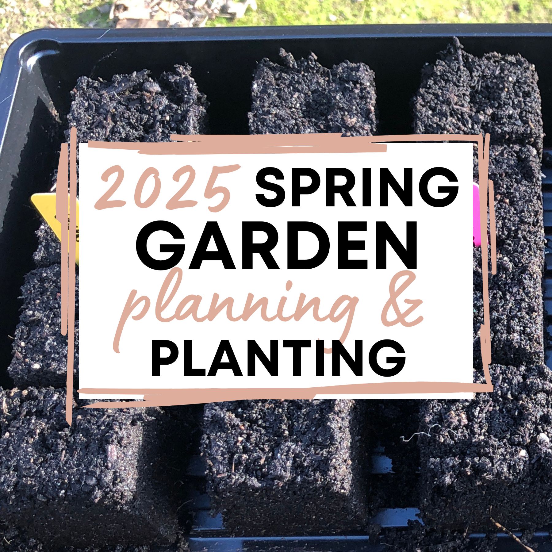 soil blocks in seed starting tray with colorful plant identifying tags and text "2025 spring garden planning & planting"