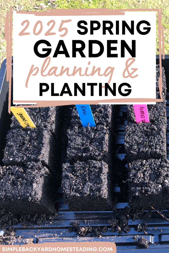 soil blocks in seed starting tray with colorful plant identifying tags and text "2025 spring garden planning & planting"